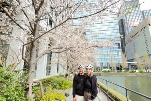 Tokyo: Oplev det traditionelle Tokyo på en heldagscykeltur