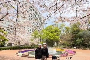 Tokyo: Scopri la Tokyo tradizionale con un tour in bicicletta di un giorno intero