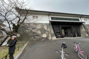 Tokyo: Scopri la Tokyo tradizionale con un tour in bicicletta di un giorno intero