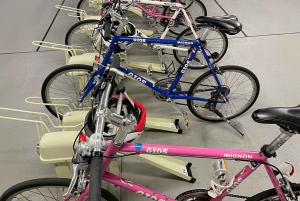 Tokyo: Scopri la Tokyo tradizionale con un tour in bicicletta di un giorno intero