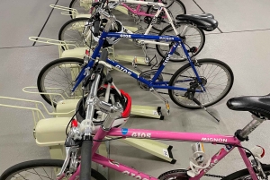 Токио: Полнодневная велосипедная экскурсия 'Знакомство с традиционным Токио