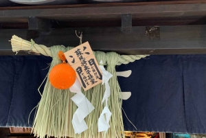 Токио: Полнодневная велосипедная экскурсия 'Знакомство с традиционным Токио