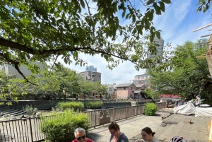 Токио: Полнодневная велосипедная экскурсия 'Знакомство с традиционным Токио