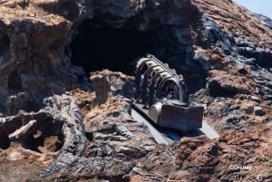 Tokyo Disney Resort: 1-dags Park Hopper-pas