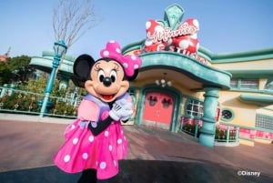 Tokyo Disney Resort: 1-dags Park Hopper-pas