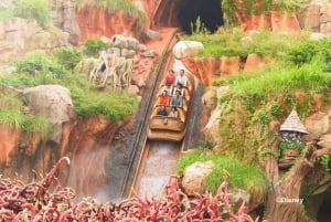 Tokyo Disney Resort: 1-dags Park Hopper-pas