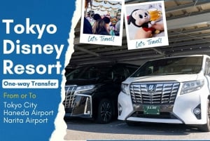 Tokyo: Privat transport til Narita eller Haneda lufthavn