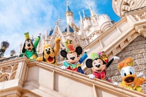 Tokyo Disneyland: Dagsbiljett och privat transfer