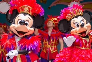 Tokyo Disneyland: Dagsbiljett och privat transfer