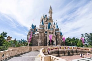 Tokyo Disneyland: Dagsbiljett och privat transfer