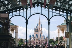 Tokyo Disneyland: Dagsbiljett och privat transfer