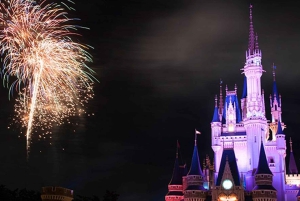 Tokyo Disneyland: biglietto d'ingresso di 1 giorno e trasferimento privato