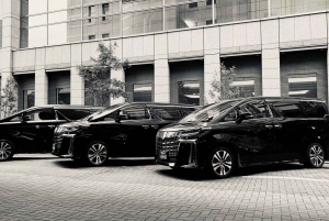 Tokio: Hotellikuljetus Tokion Disneylandiin tai DisneySea-teemapuistoon ja takaisin