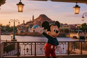 Tokyo Disneyland or DisneySea Ticket and Privare Transfer
