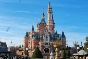 Tokyo Disneyland or DisneySea Ticket and Privare Transfer