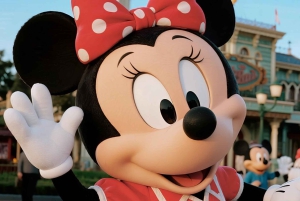 Tokyo Disneyland or DisneySea Ticket and Privare Transfer