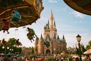 Tokyo Disneyland or DisneySea Ticket and Privare Transfer