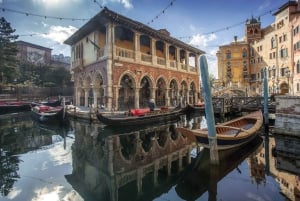 Tokyo Disneyland or DisneySea Ticket & Door to Door Transfer