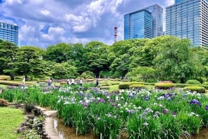 Tokyo - Kejsarpalatsets östra trädgård Kejsarpalatsets östra trädgård med historisk guide