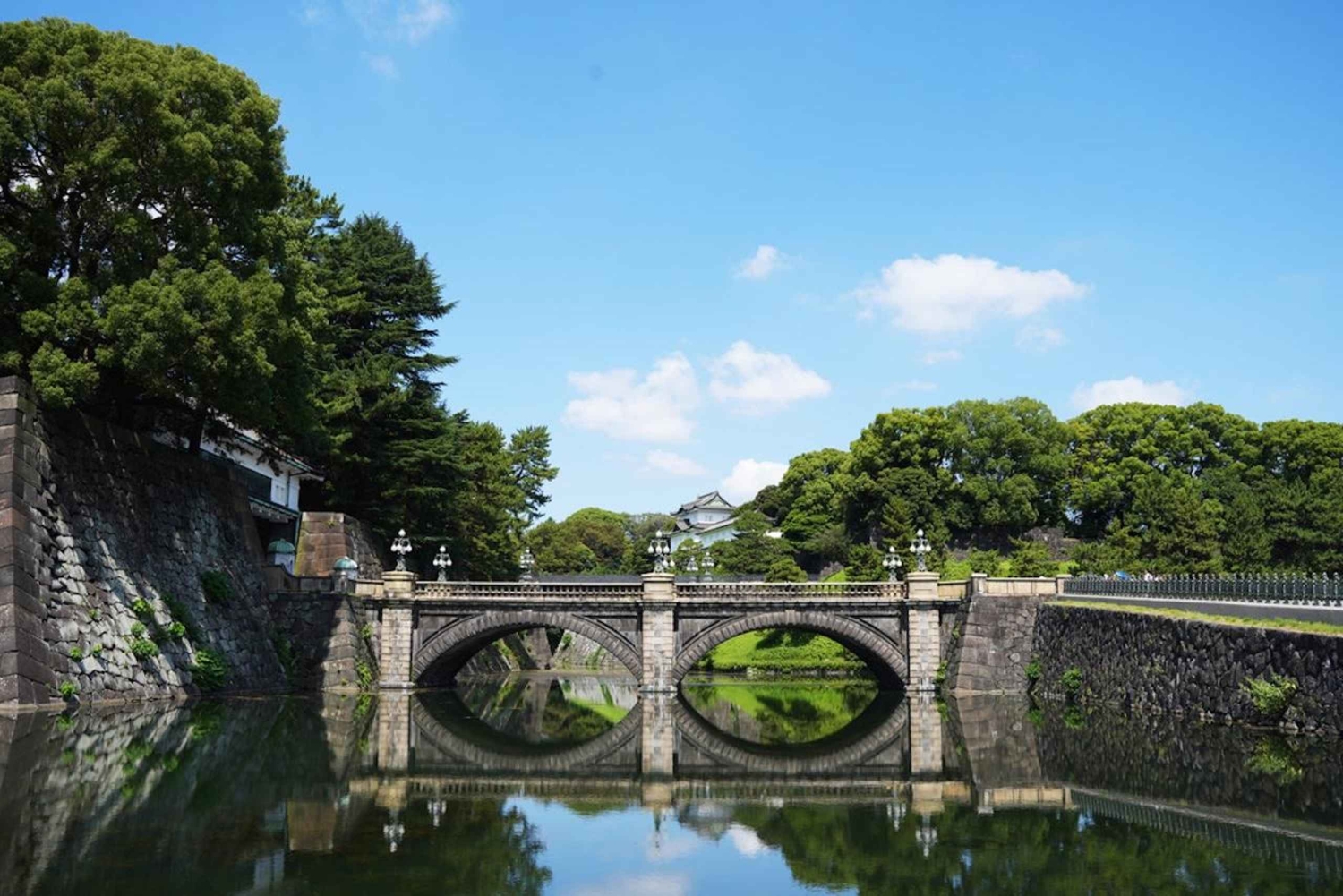 Tóquio: excursão a pé guiada pelo Castelo de Edo e pelo Palácio Imperial