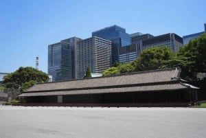 Tokyo: Guidet vandringstur til Edo-slottet og keiserpalasset