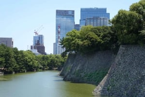 Tokyo: Guidet vandringstur til Edo-slottet og keiserpalasset