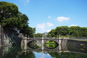 Tóquio: excursão a pé guiada pelo Castelo de Edo e pelo Palácio Imperial