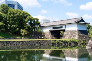 Tóquio: excursão a pé guiada pelo Castelo de Edo e pelo Palácio Imperial