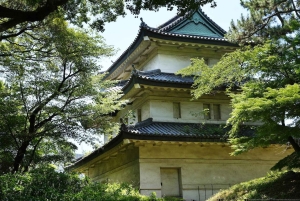 Tóquio: excursão a pé guiada pelo Castelo de Edo e pelo Palácio Imperial