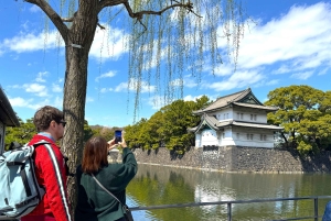 Tokio: zwiedzanie ruin zamku Edo i wschodniego ogrodu pałacu cesarskiego