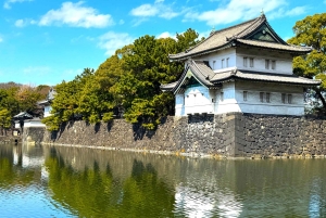 Tokio: zwiedzanie ruin zamku Edo i wschodniego ogrodu pałacu cesarskiego