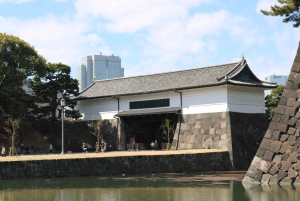 Tokio: zwiedzanie ruin zamku Edo i wschodniego ogrodu pałacu cesarskiego