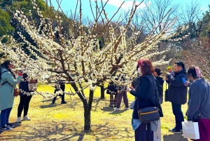 Tokio: zwiedzanie ruin zamku Edo i wschodniego ogrodu pałacu cesarskiego