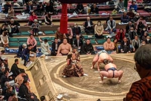 Tokyo : Assistez à un match de Sumo et découvrez-le ! [Billets inclus]
