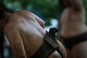 Tokyo : Assistez à un match de Sumo et découvrez-le ! [Billets inclus]
