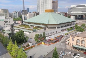 Tokyo : Assistez à un match de Sumo et découvrez-le ! [Billets inclus]