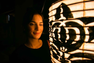 Tokyo: Fototur om aftenen