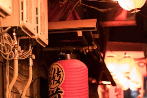 Tokyo: Fototur om aftenen