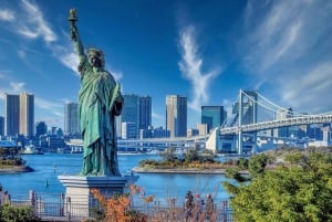 Tokyo: Exlusive Private Tour with English speaking chauffeur