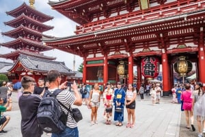 Tokio: Tour privado exclusivo con chófer de habla inglesa