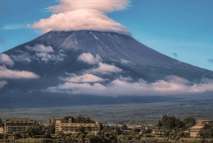 Токио: индивидуальная поездка на гору Фудзи и в Хаконе