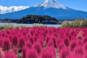 Токио: индивидуальная поездка на гору Фудзи и в Хаконе