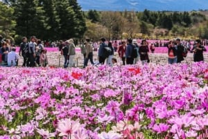 Токио: индивидуальная поездка на гору Фудзи и в Хаконе