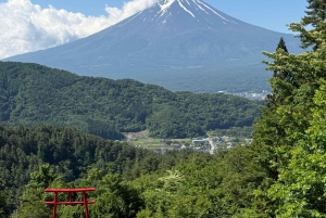 Токио: индивидуальная поездка на гору Фудзи и в Хаконе