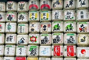 Tóquio: excursão a pé em família do santuário até Shibuya Fun