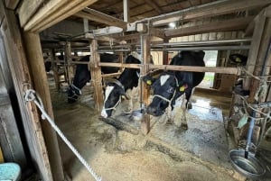 Tokyo: tour di una fattoria, un mercato e un udon bar a Nerima