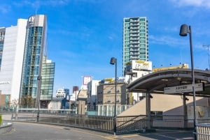 Tokyo: tour di una fattoria, un mercato e un udon bar a Nerima