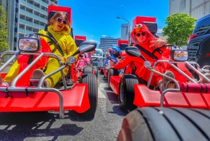 Tokyos flaggskepp Flaggskepp 2-timmars Street Go-Kart Tour av Street Kart