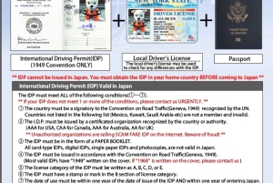 Tokyos flaggskepp Flaggskepp 2-timmars Street Go-Kart Tour av Street Kart