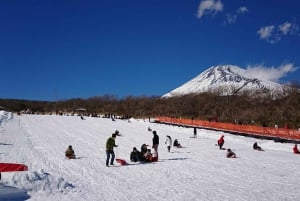 From Tokyo: Fuji Mountain Skiing and Hot Spring Day Trip